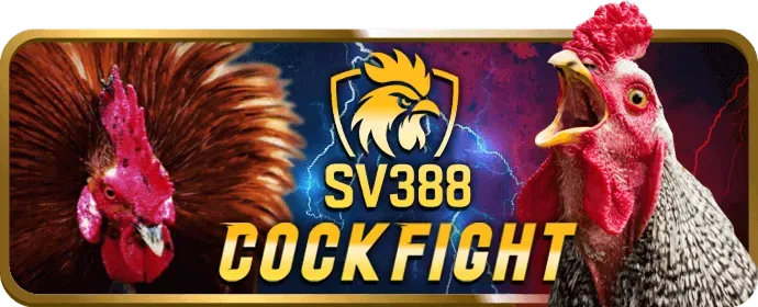 Ưu Đãi VIP SHBBET Code